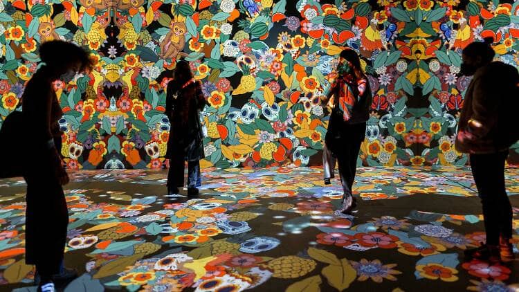 Biografia imersiva Frida Kahlo